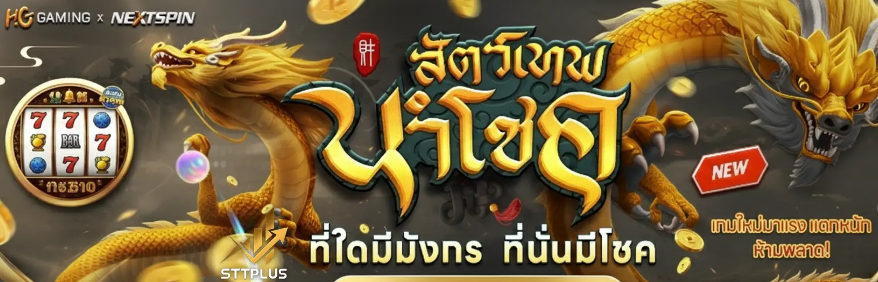 sttplus เว็บ ตรง